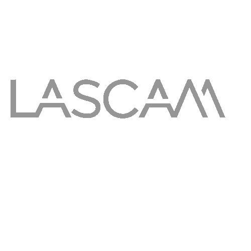 LASCAM systems